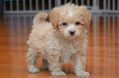 Don’t Leave Me Alone